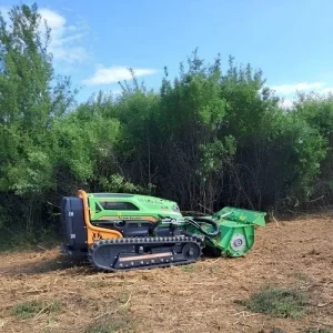 bonifica aree verdi