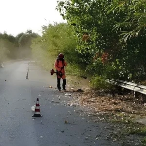 bonifica sfalcio strada