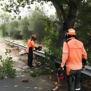 bonifica aree verdi
