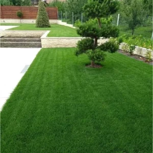 realizzazione giardino