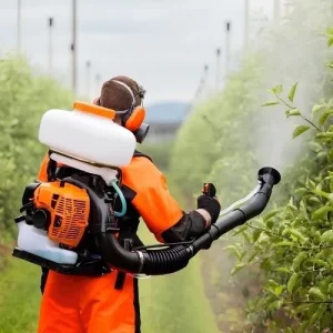 trattamento firosanitario alberi da frutta