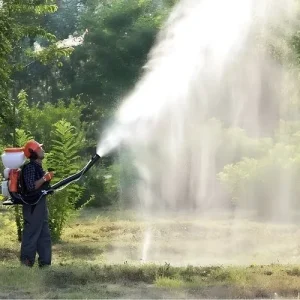 disinfestazione zanzare